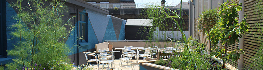 Prison garden area with plants and seating