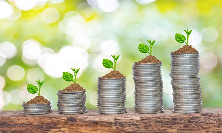 Five stacks of coins with soil and plants growing on top of them.