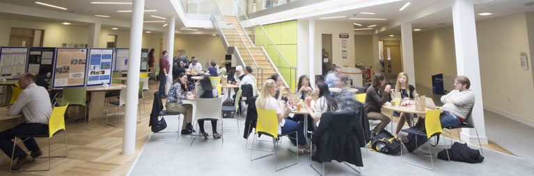 Groups of people at tables eating lunch