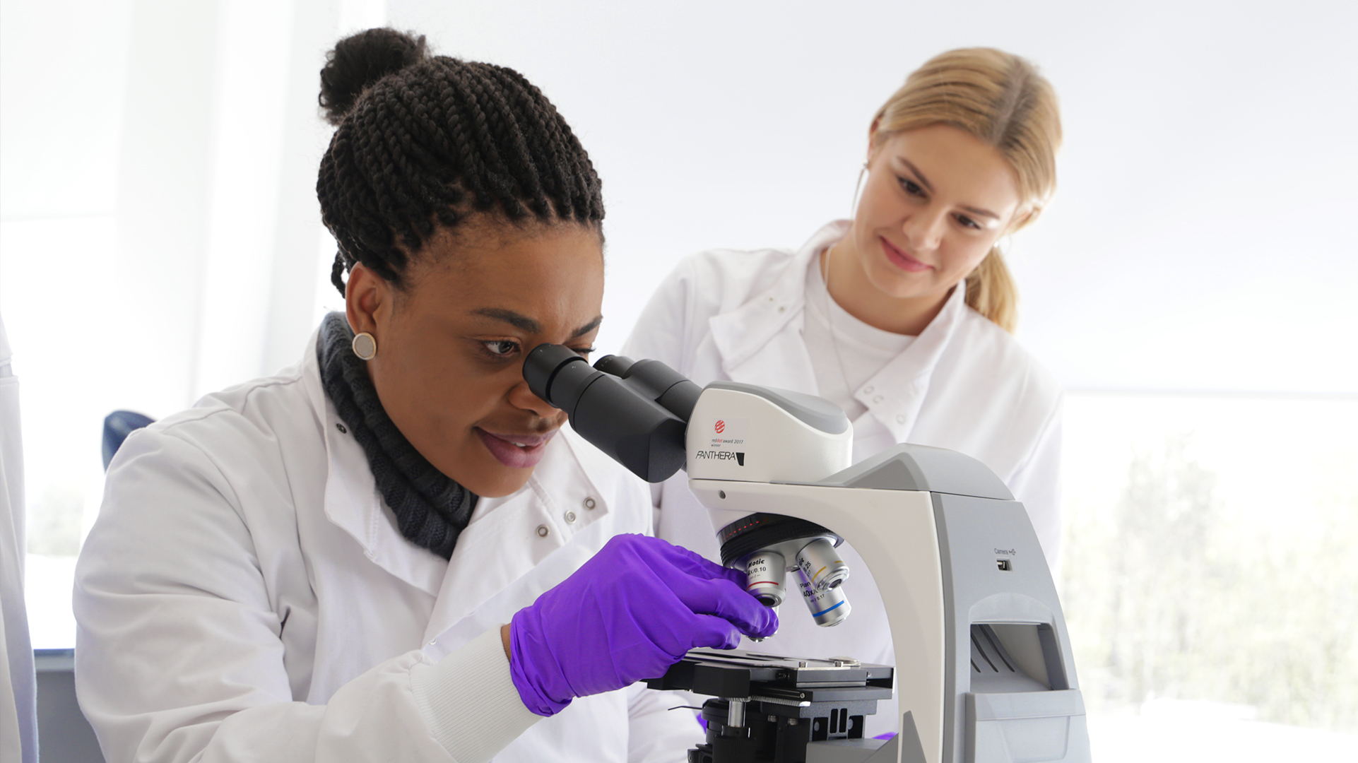 Student using a microscope in a laboratory